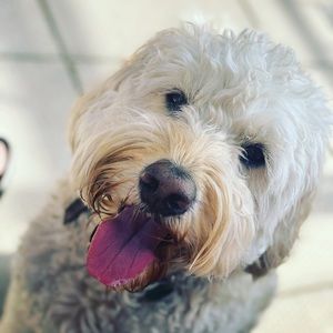 Meet your Posher, Ericka